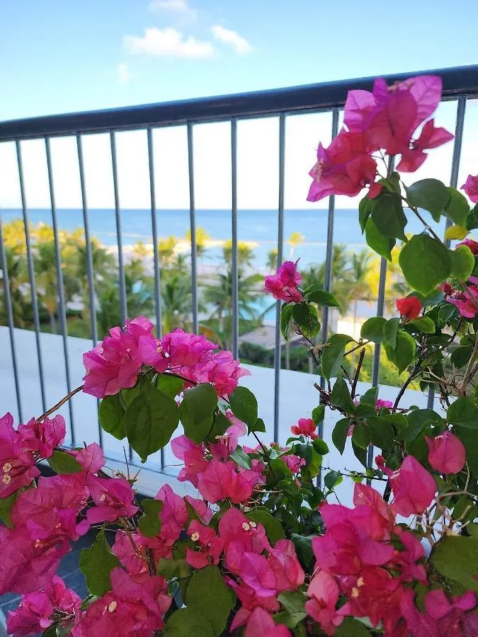 Exclusivos Apartamentos Con Vista A La Playa En Aquamarina, Cap Cana Punta Cana Apartmán